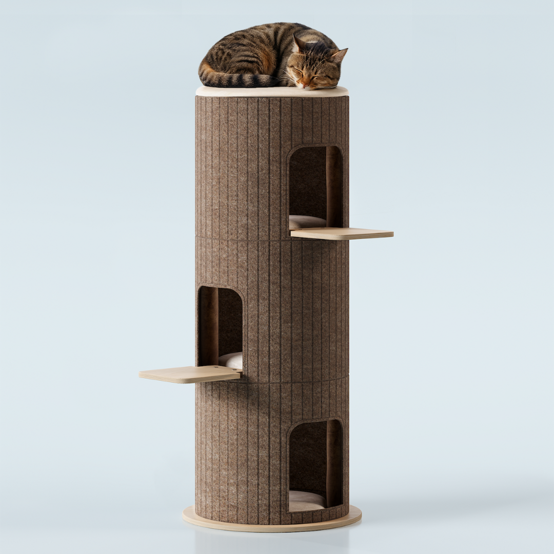 Cat Christmas Tree